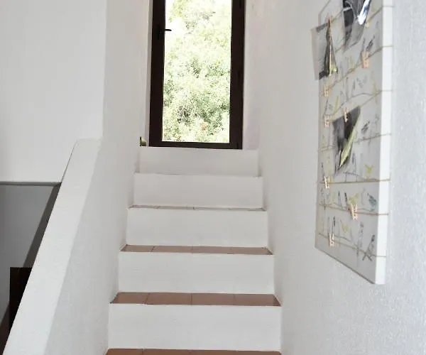 Domus Moon With Sea View דירה *